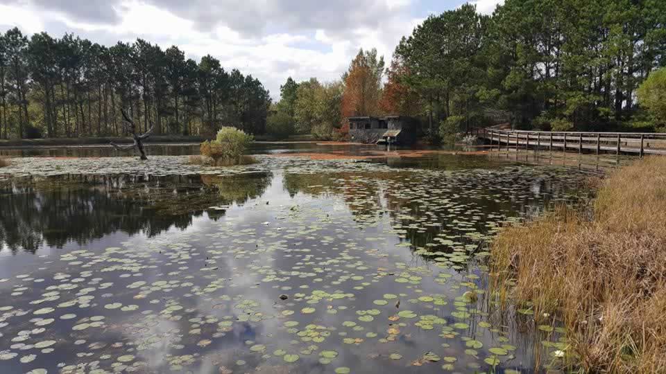 Texas Freshwater Fisheries Center in Athens