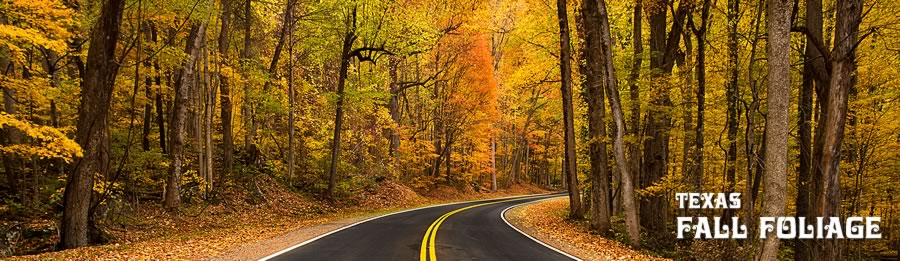 Scenic Texas road trip to view fall foliage travel destinations