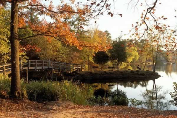 Beautiful fall colors around the lake at Tyler State Park