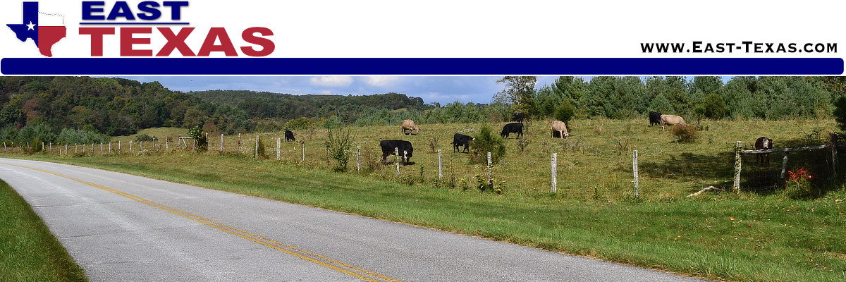 Bullard, Texas travel, tourism, things to do, atractions, lodging and map
