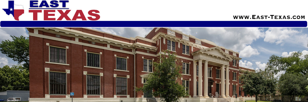 County governments in East Texas
