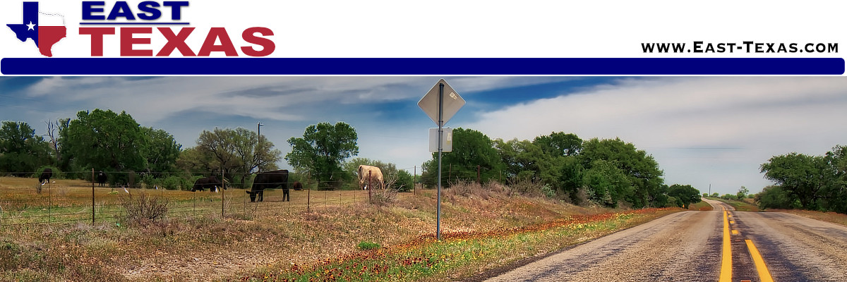 The City of Newton in East Texas, its location, map, population and area attractions and things to do