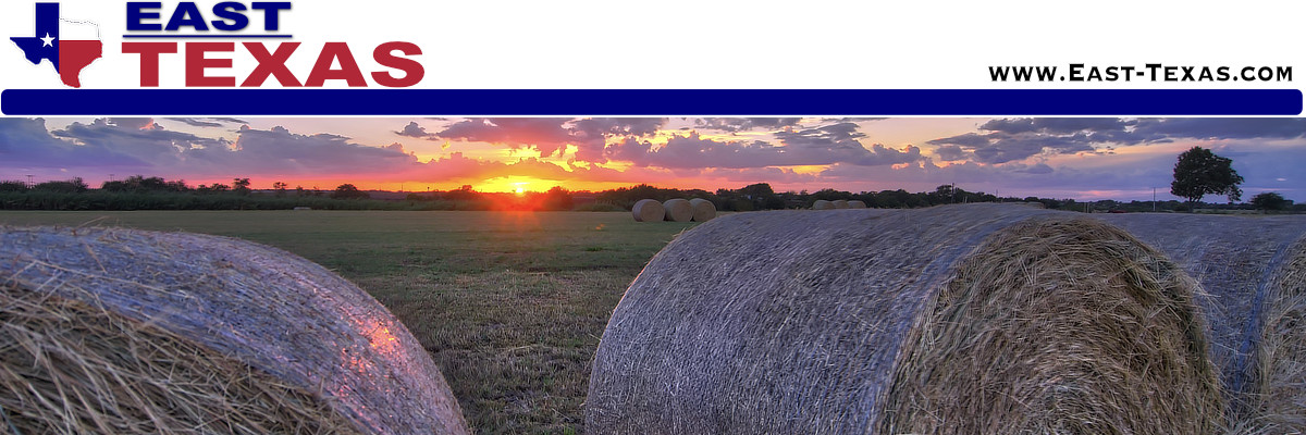 New Boston Texas travel and tourism, location, things to do, map and local resources