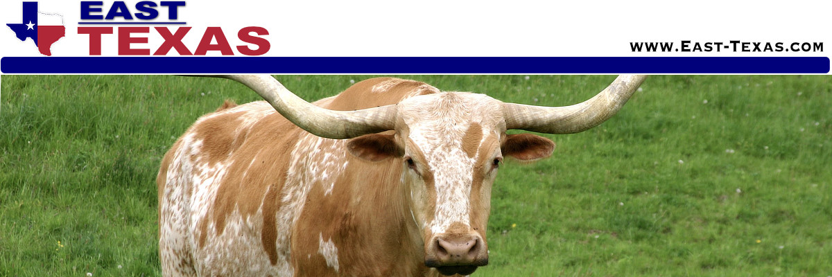 The City of De Kalb in East Texas, location, map, population and attractions