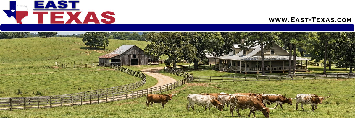 City of Longview in East Texas