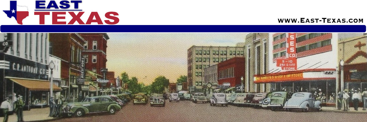Vintage Texas Picture Postcards for sale