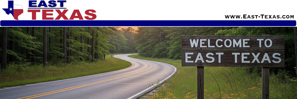Emory Texas location, population, map and resources