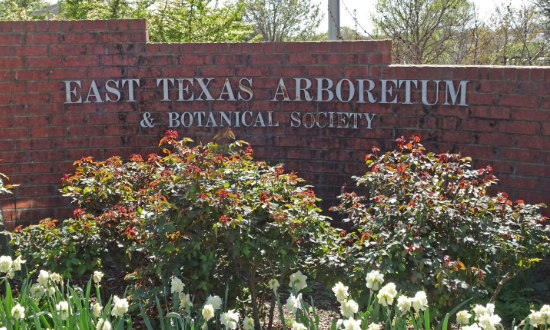 East Texas Arboretum & Botanical Society in Athens