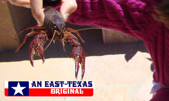 Buying crawfish online on the Internet, at local seafood markets