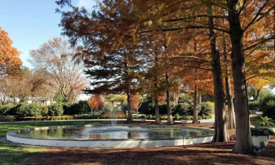 Fall colors at the Dallas Arboretum