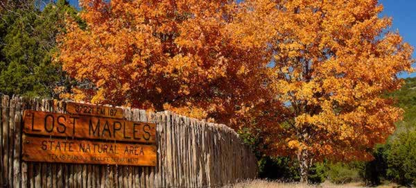 Fall scene at Lost Maples State Natural Area