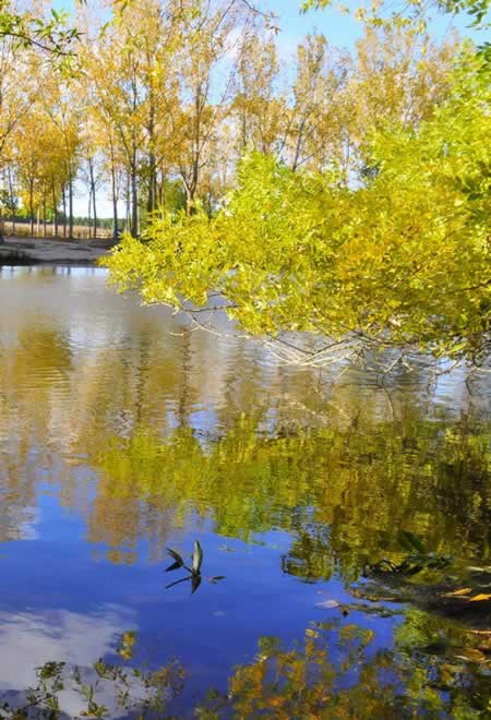 When the skies are blue, and the lake is cooling ... it's time for fall foliage in Texas