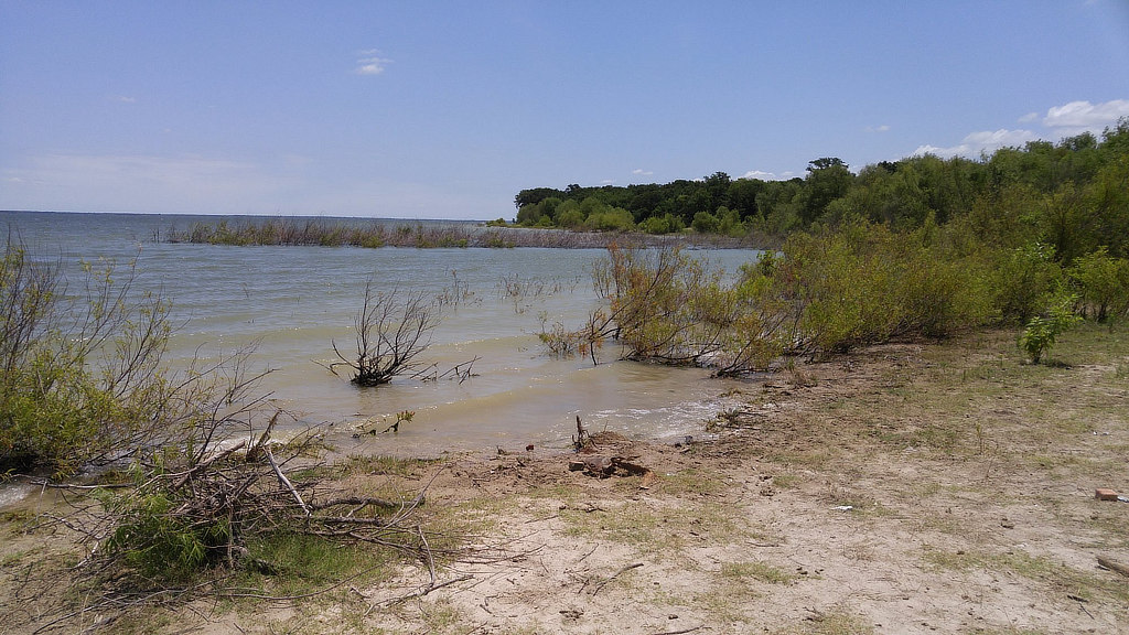 Shoreline scene at Lake Tawakoni in East Texas