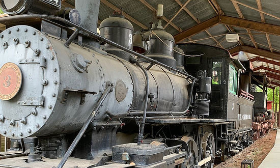 Steam locomotive on display at the Texas Forestry Museum in Lufkin
