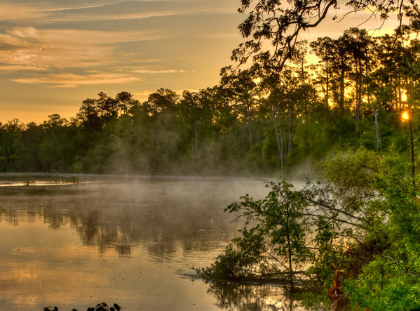 Peaceful lake scene at Village Creek State Park in Texas