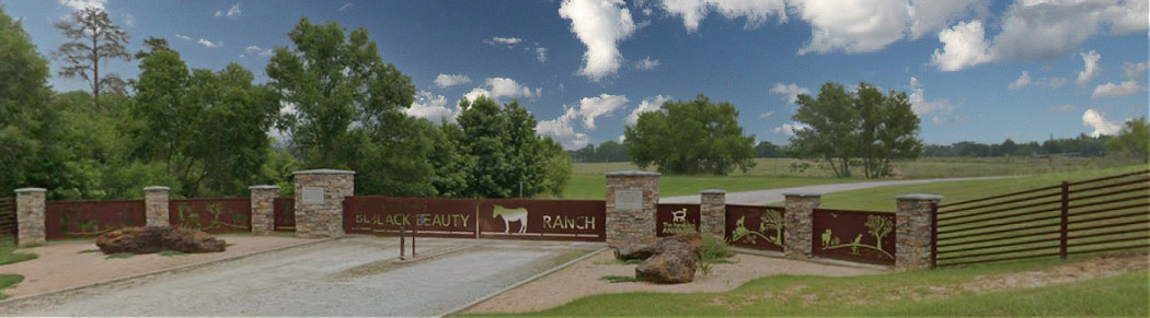Black Beauty Ranch in Murchison, Texas