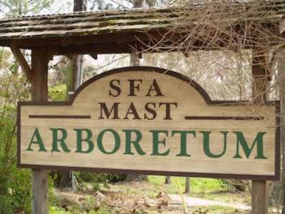 Mast Arboretum at Stephen F. Austin University in Nacogdoches