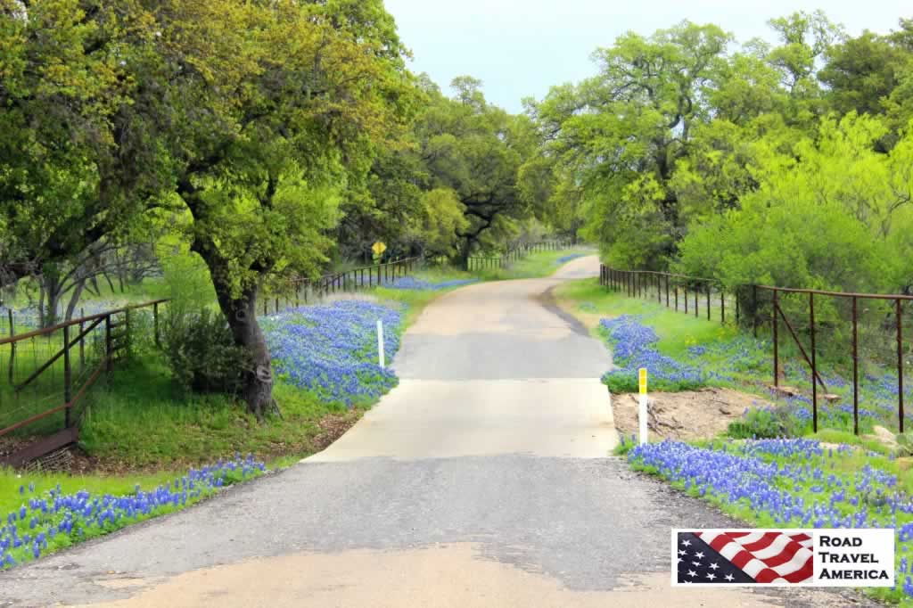 One of our favorite back roads for seeing Bluebonnets in the Spring - the Willow Loop Road, near Fredericksburg, Texas