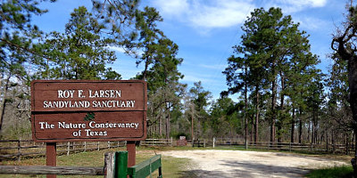 Roy E. Larsen Sandyland Sanctuary in East Texas