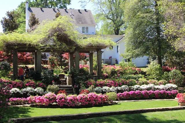 Beautiful spring garden scene during the Tyler Azalea Trails in spring