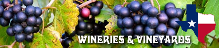 Wineries and vineyards in East Texas