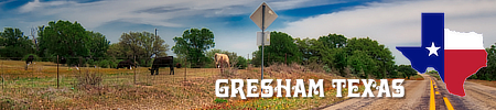 Gresham, Texas location, maps, hotels and area attractions