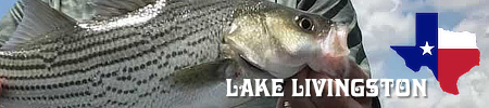 Lake Livingston in East Texas, map, location, lake levels, fishing, lodging and area attractions
