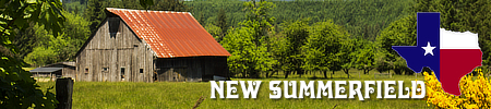 New Summerfield in East Texas, location, population and local resources