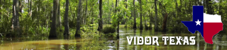 Vidor Texas ... location, maps, swamps, things to do, and local resources